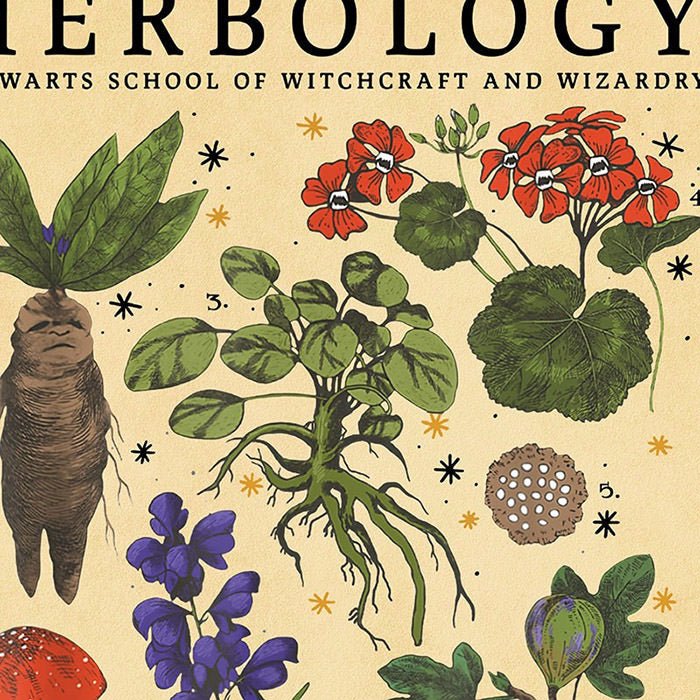 VILZSTUDIOS Herbology wall art poster for aesthetic decor
