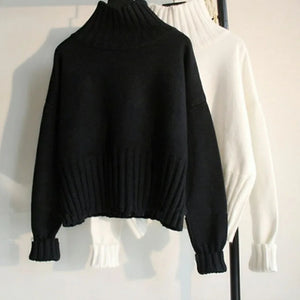 VILZSTUDIOS Cozy Turtle Neck Knit Sweater