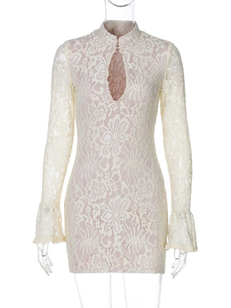 VILZSTUDIOS Sexy Hollow Out Lace Mini Dress