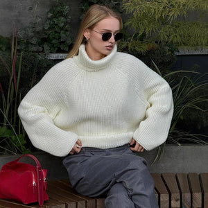 VILZSTUDIOS Cozy Hollow Turtleneck Sweater