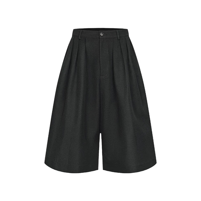 VILZSTUDIOS Black Baggy Pleated Front High Pants