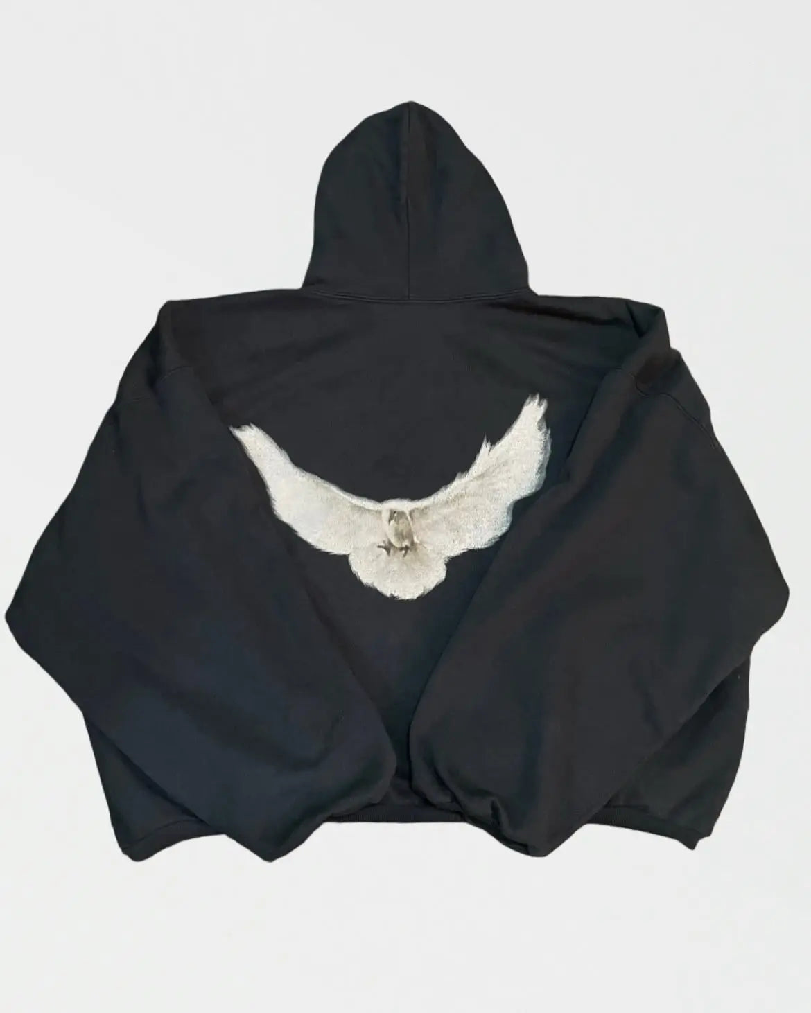 VILZSTUDIOS Oversized Retro Pigeon Graphic Print Hoodie