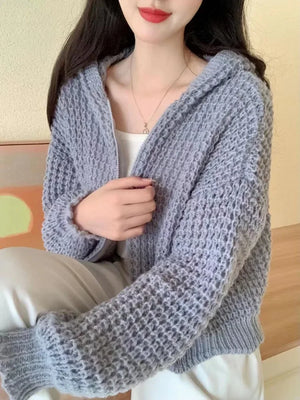 VILZSTUDIOS Elegant Solid Color Hoodie