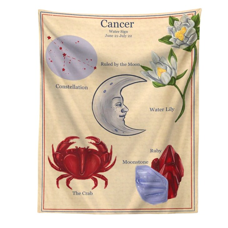 VILZSTUDIOS Horoscope aesthetic tapestry for wall decor
