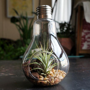 VILZSTUDIOS Stylish hanging vase for home decoration